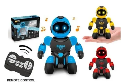 Robot
